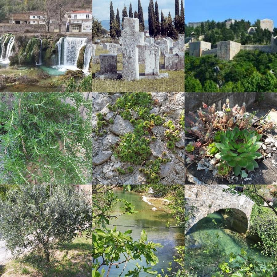 Holiday Home Sarin Most Stolac 外观 照片