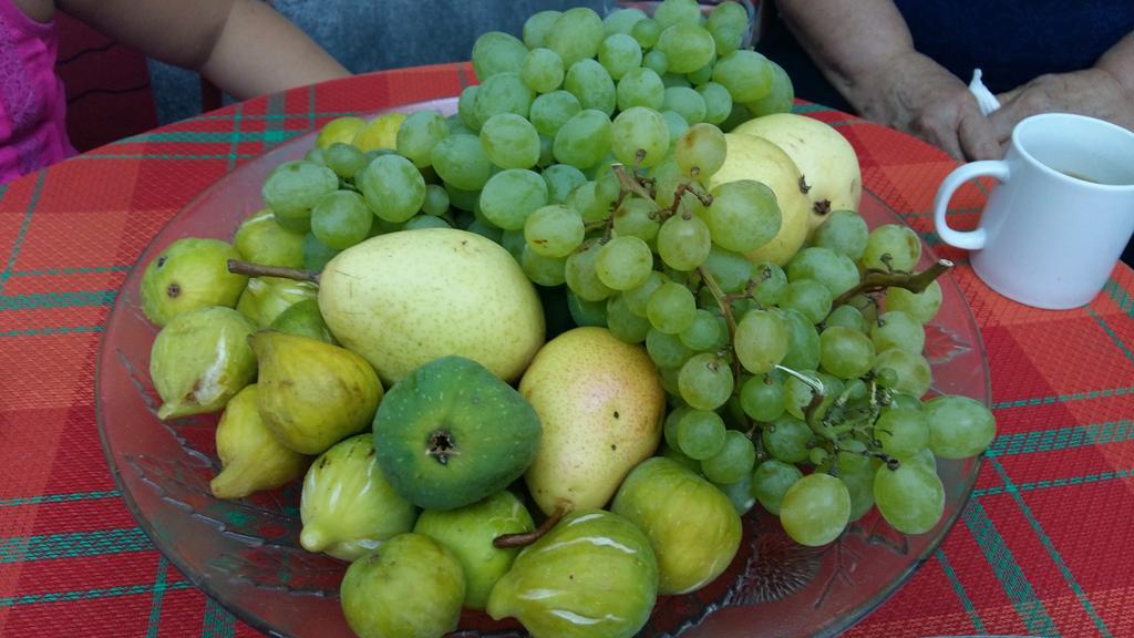 Holiday Home Sarin Most Stolac 外观 照片